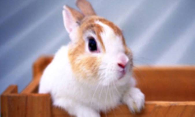 اندکي تأمّل