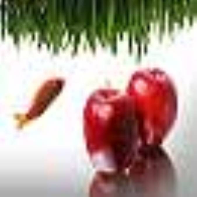 نوروز در فرهنگ شیعه (2)