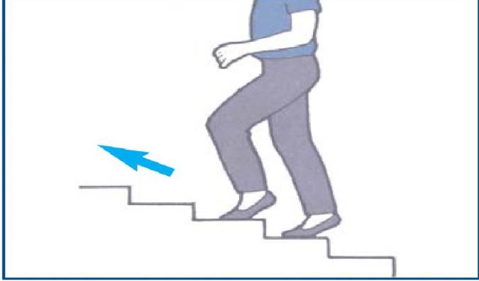 آشنایی با فواید پله