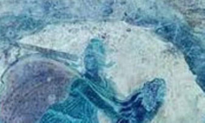 مَيْترِيَه ؛ موعود بودایی