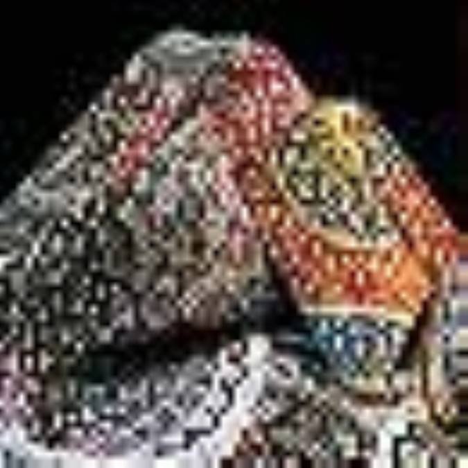 فرش ، هنر همگام با نسل بشر