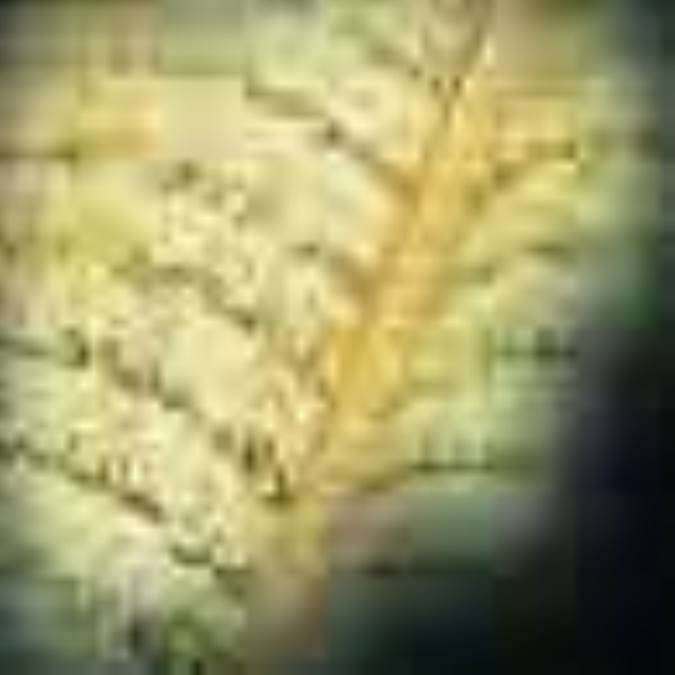 قرآن و دفاع از خود(6)