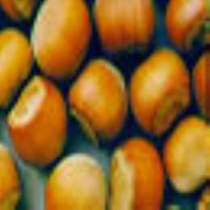 خواص دارويي فندق