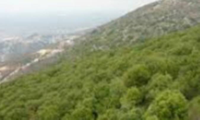 مليتا، روايت زمين براي آسمان