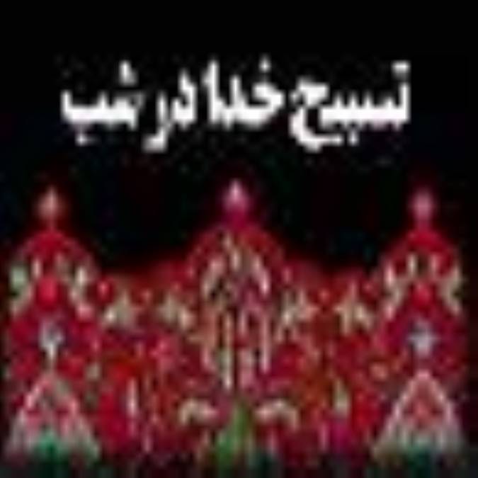 تسبيح خدا در شب