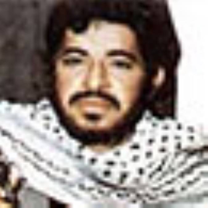 پرستوی عاشق