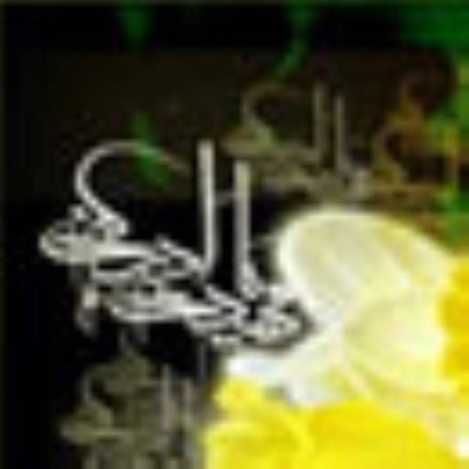 دعوت به فهم نشانه های ظهور