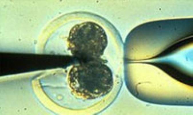 بررسي فقهي شبيه سازى(4)