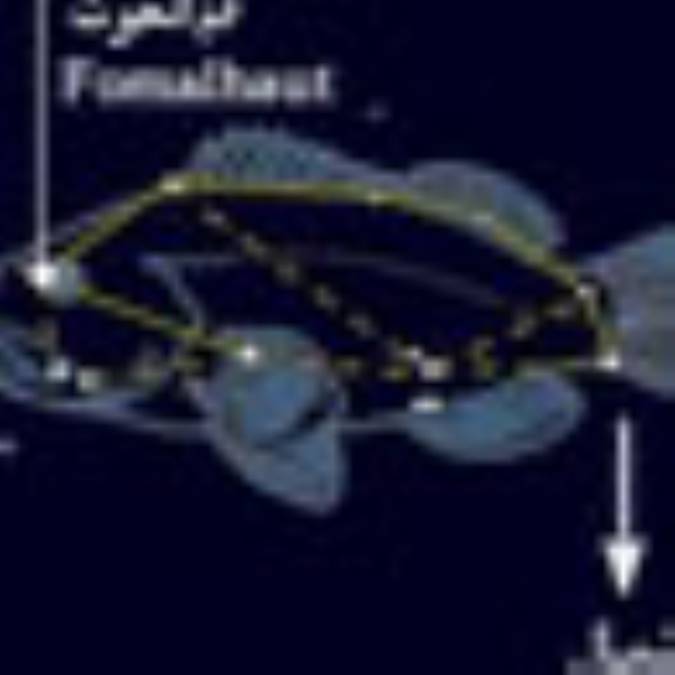 صورت فلکی یکسال شمسی (12) اسفند : حوت 