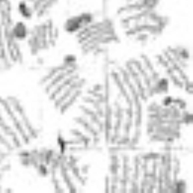 محوطه و زمين جوى شيران و غيره