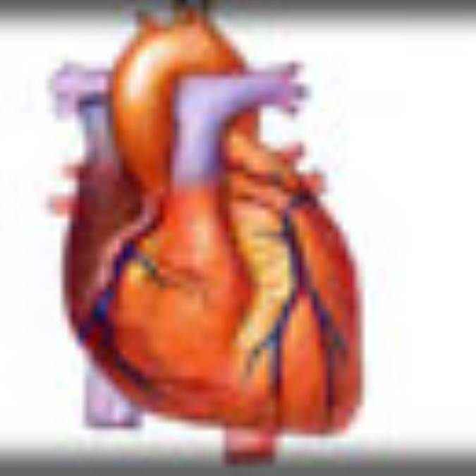 کايروپراکتيک چيست؟