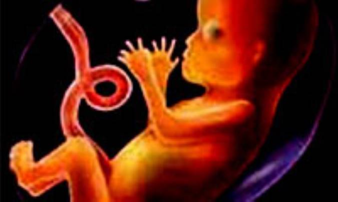 اهداء جنین(4)