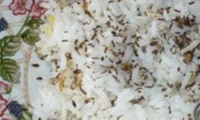 زيره‌پلو با ماهيچه