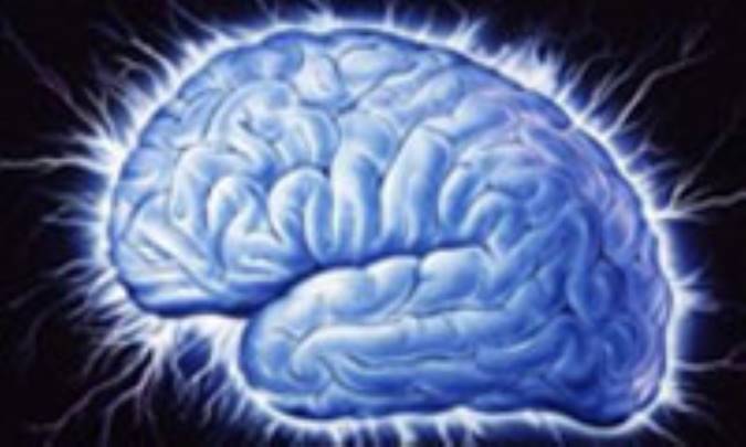 و آنگاه که مغز شما شهادت دهد...