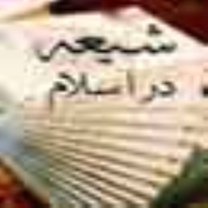 شيعه در اسلام