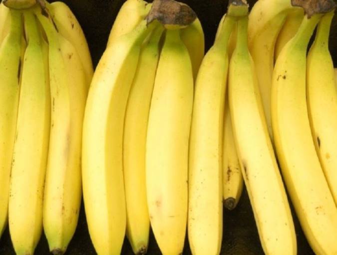 از شیر بز تا تخم مرغ ضدسرطان