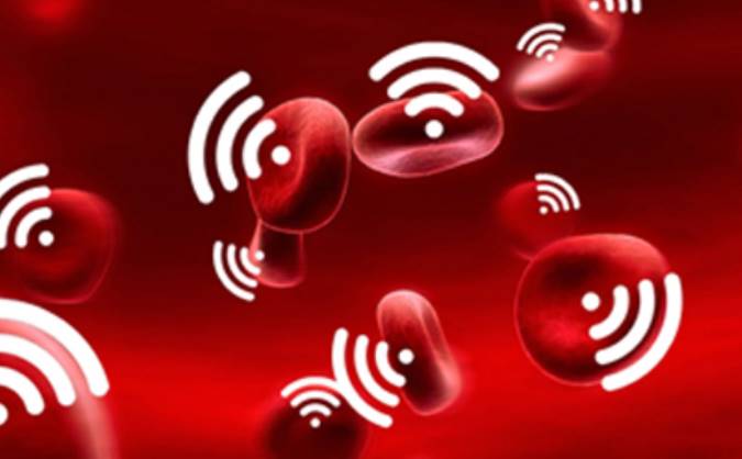 برچسب های الکترونیکی می توانند در داخل سلول ها استفاده شوند