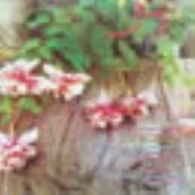 ماهنامه رويش
