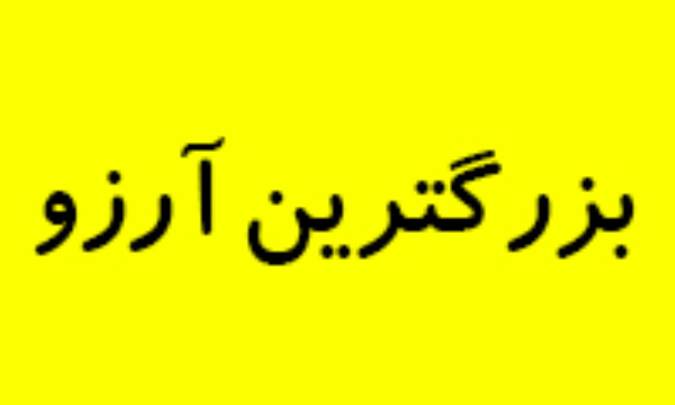 بزرگ‌ترین آرزو