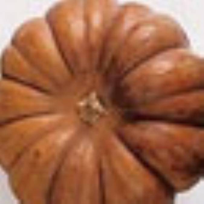 خوراک کدو با ماست 