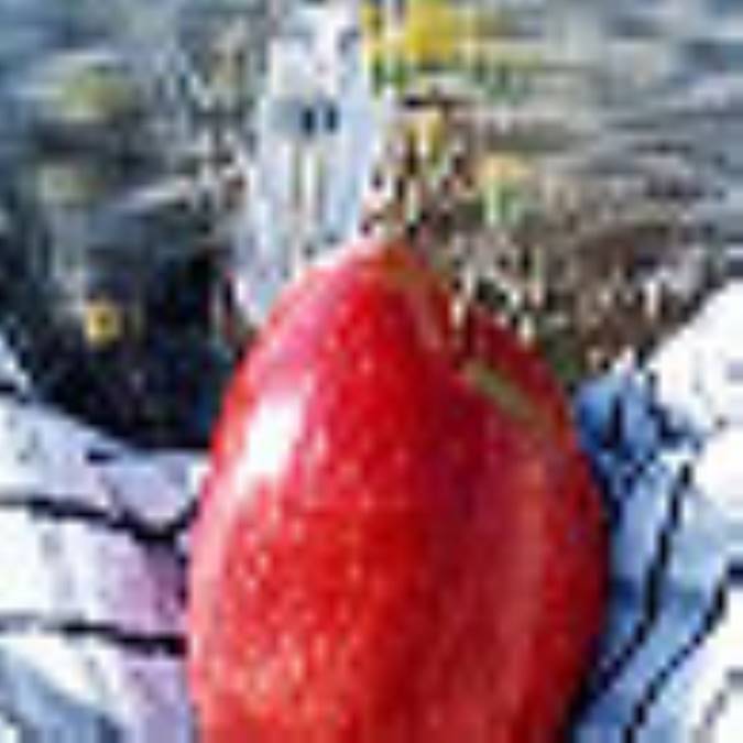 نقش سرماية اجتماعي در گرايش به ايثار