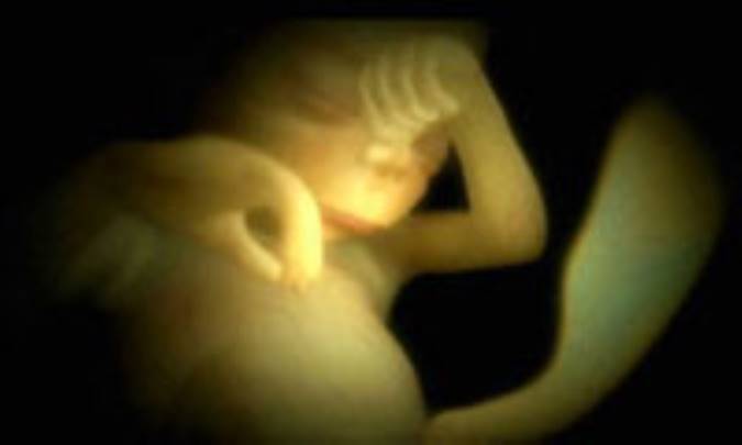 تأثیر مواد غذایی بر عملکرد جنسی انسان