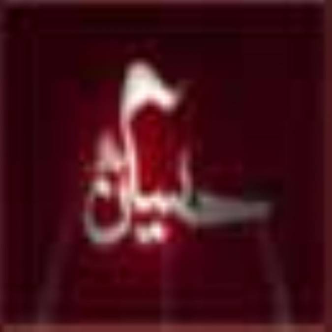 فرهنگ عاشورا(20)