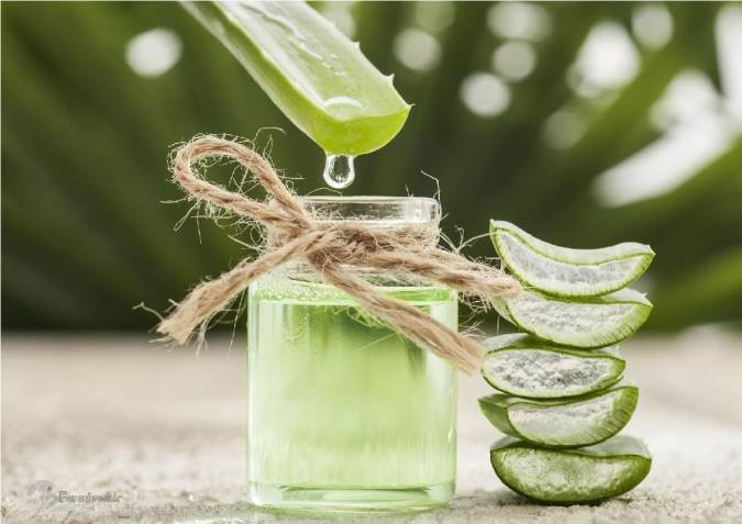 فواید ژل آلوئه ورا