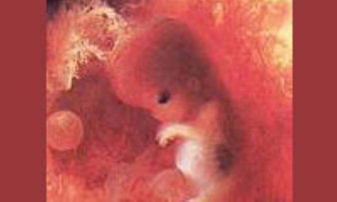 مرگ مادر باردار چرا؟