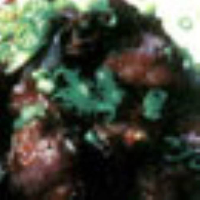 استيک با دل و جگر مرغ