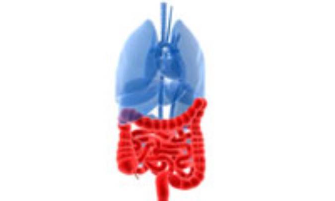 دلتان آشوب است؟ شايد IBS داريد!