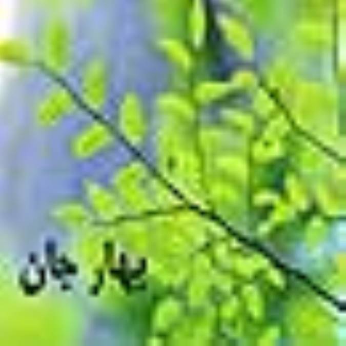 بهار جان 