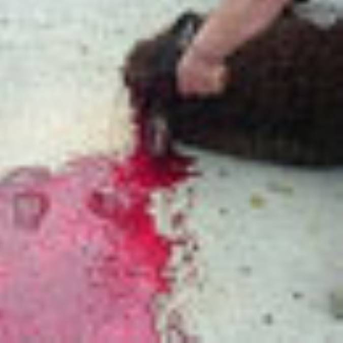 18 توصيه بهداشتي درباره ذبح دام و پخت مواد غذايي