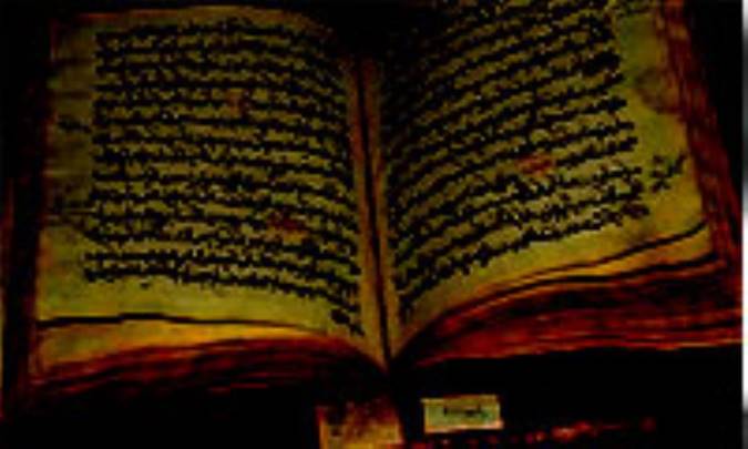 سيري در کتاب «مجالس السنيه في مناقب مصائب العترة النبويّه» 