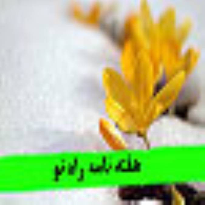 هفته نامه راه نو