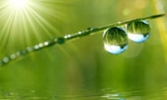 30 قدم تا رسيدن به آرامش