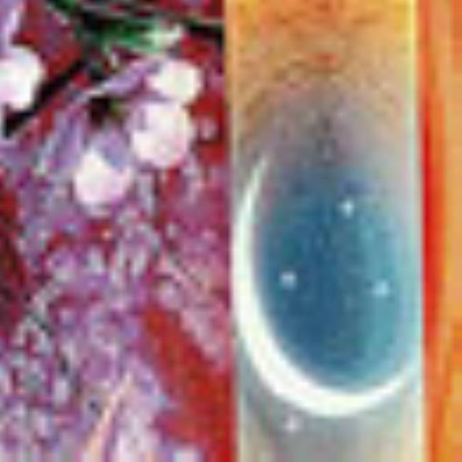 روزه در شريعت پيامبران