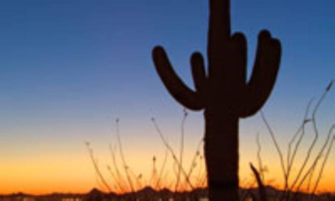 چرا آسمان صاف در هنگام روز اغلب آبی ، ولی در نزدیکی افق سفید است؟ 