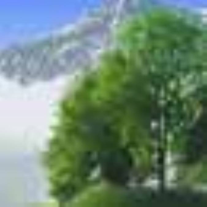 اخلاق زيست محيطي(3)