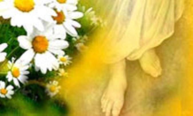 امامت از ديدگاه نهج البلاغه (2)