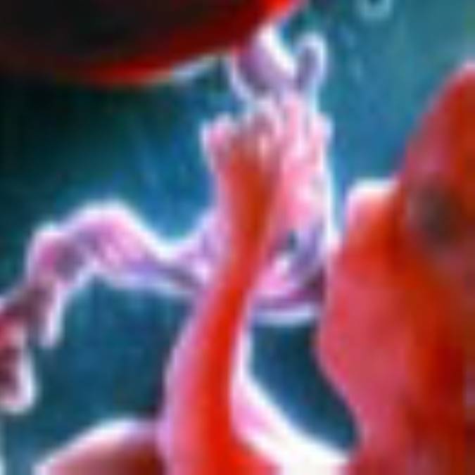 برای اولین بار در جهان ، یک جنين انسان با استفاده از “دي.ان.اي” يك مرد و دو زن خلق شد