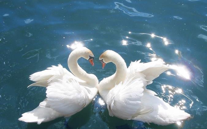 رازهای زیبایی و جوانی مردم دنیا