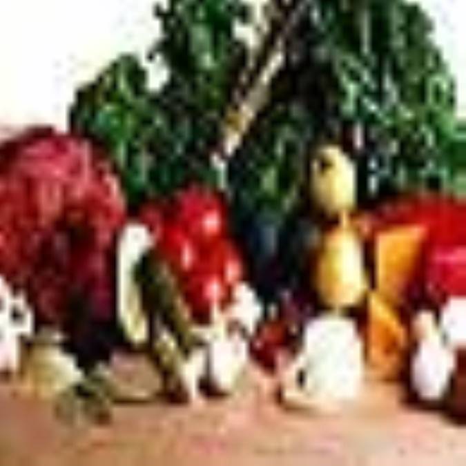 تغذيه از ديدگاه قرآن كريم