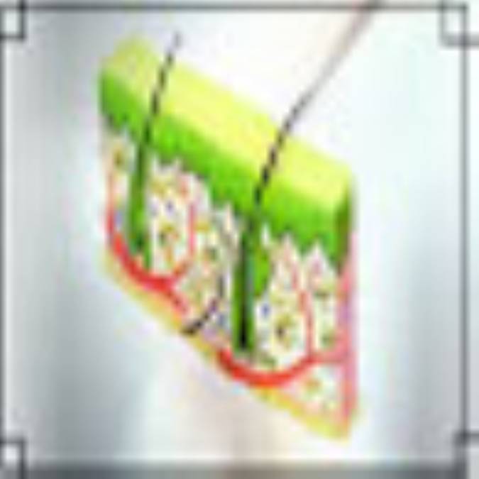 محققان، شيوه جديدي براي تبديل سلولهاي معمولي پوست به سلولهاي بنيادي مشابه سلولهاي جنيني يافته‌اند