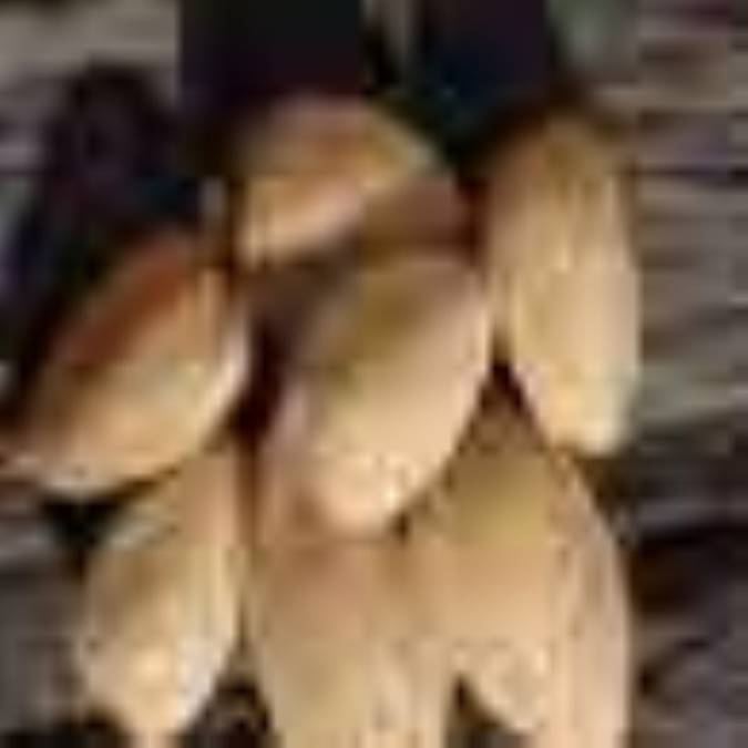 بادام 