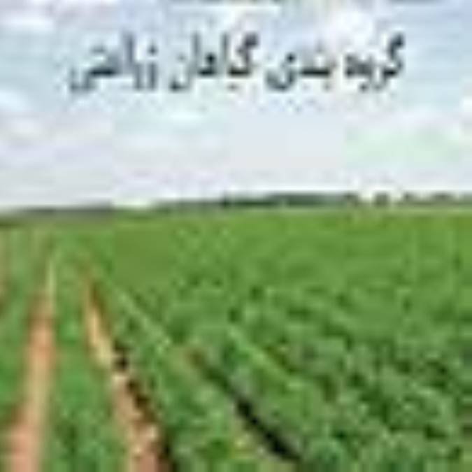 گروه بندی گیاهان زراعی