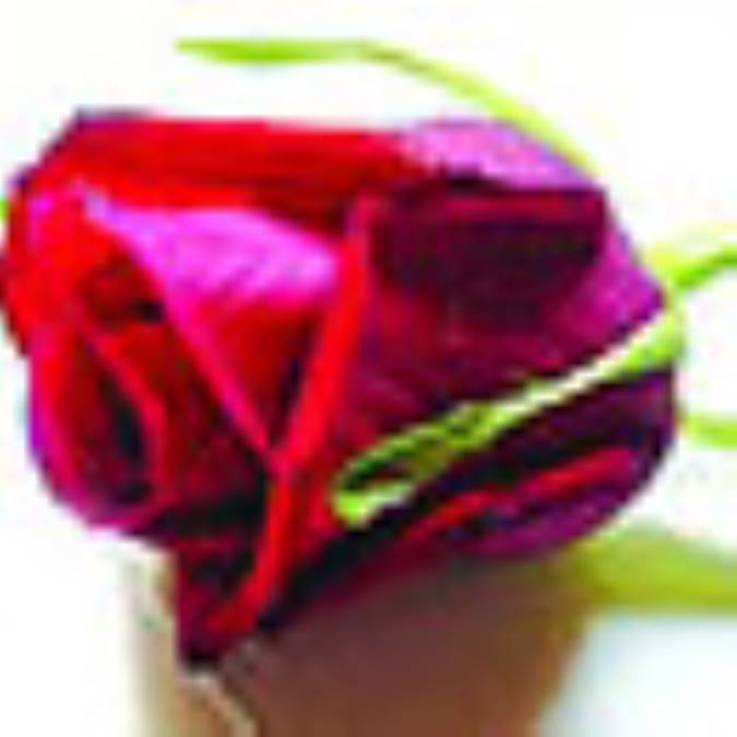 جادوی کلمات 