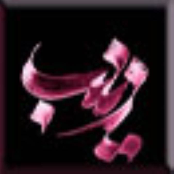 زينب‌ (س) ؛ عهده‌دار اموري از امامت‌