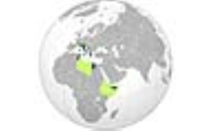 پیدایش ایتالیای نو