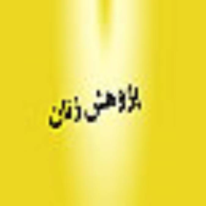 فصلنامه پژوهش زنان